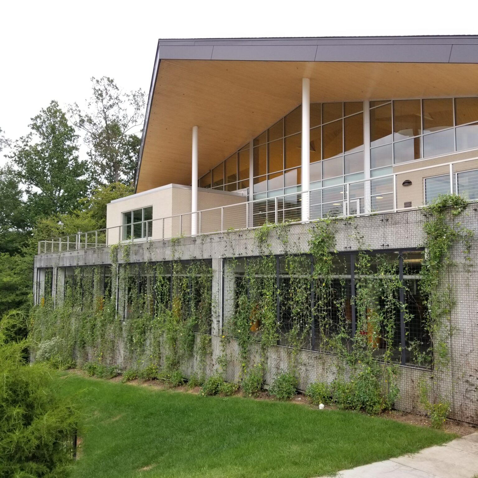 LEED Design for Prince William County's Montclair Library | RRMM Architects